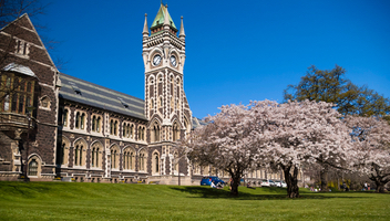 オタゴ大学の時計台と桜