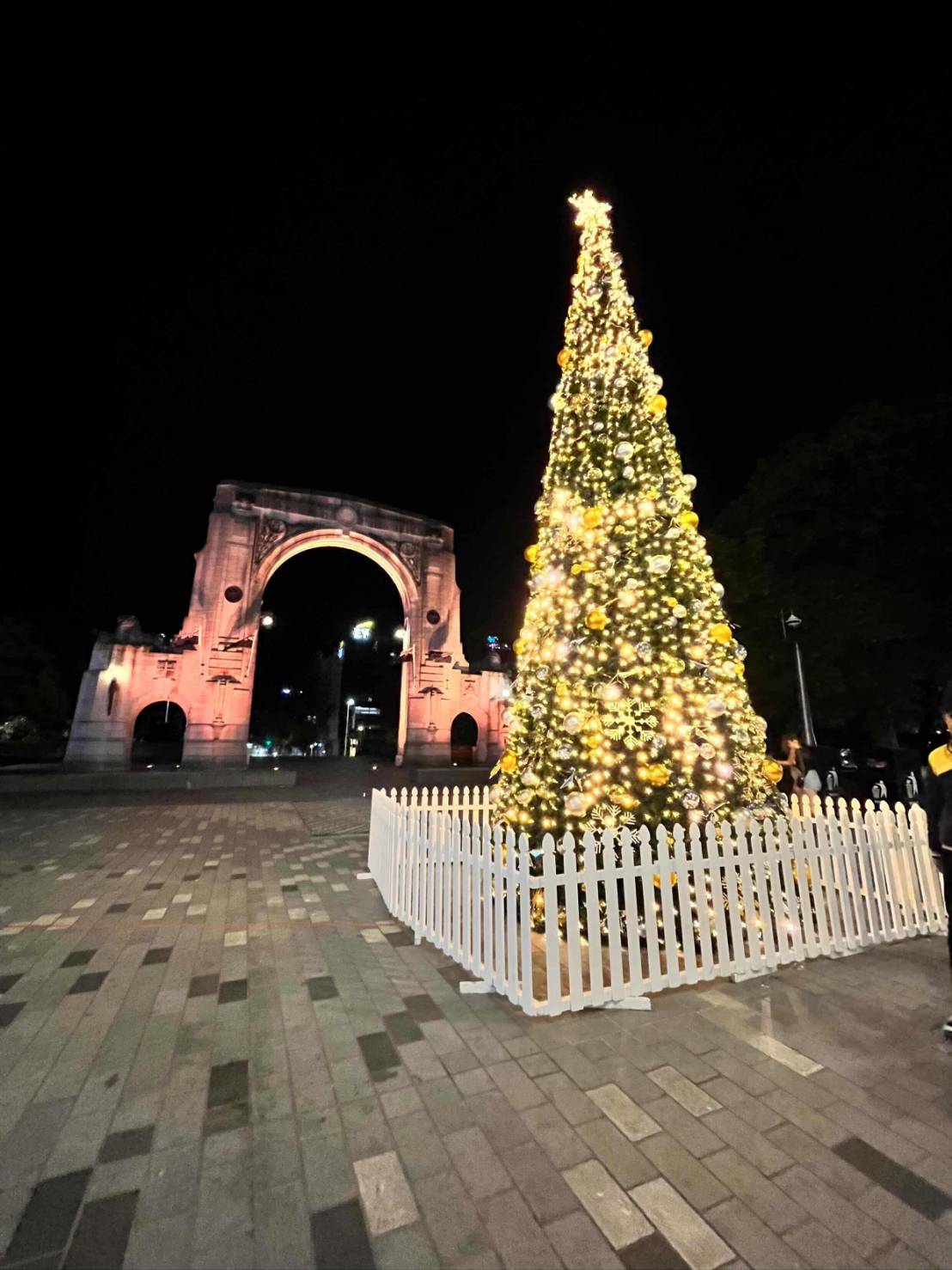 ライトアップが素敵なクリスマスツリー