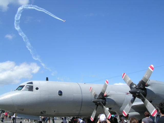 航空ショーの様子