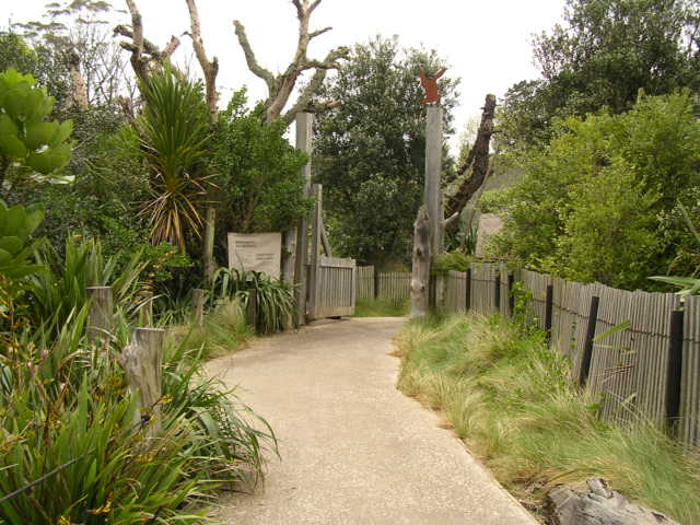 動物園内の遊歩道