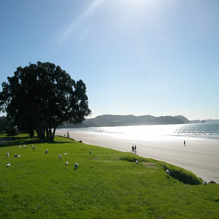 オークランド郊外のビーチ