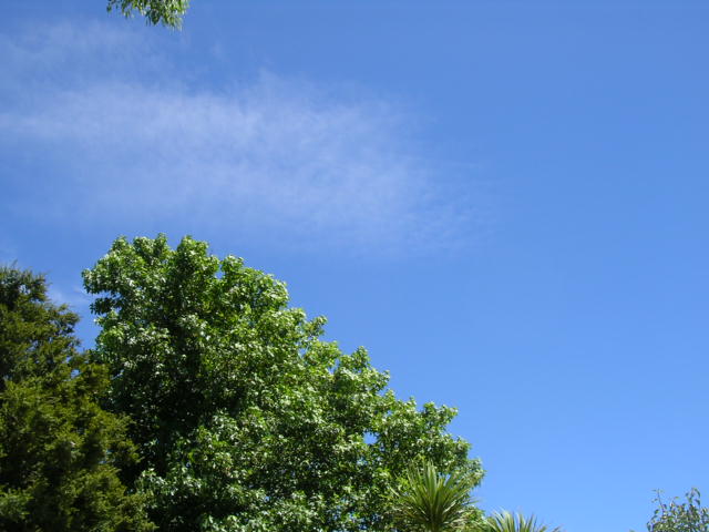 綺麗な夏の青空