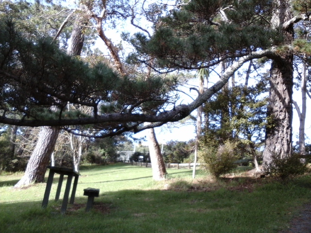 公園