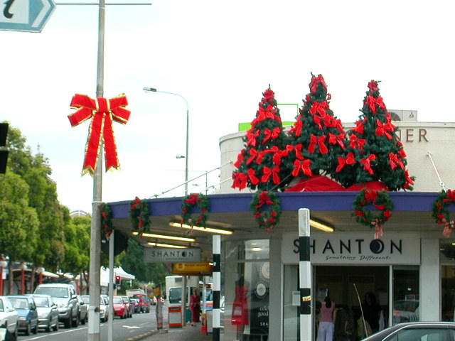 屋根の上のクリスマスツリー