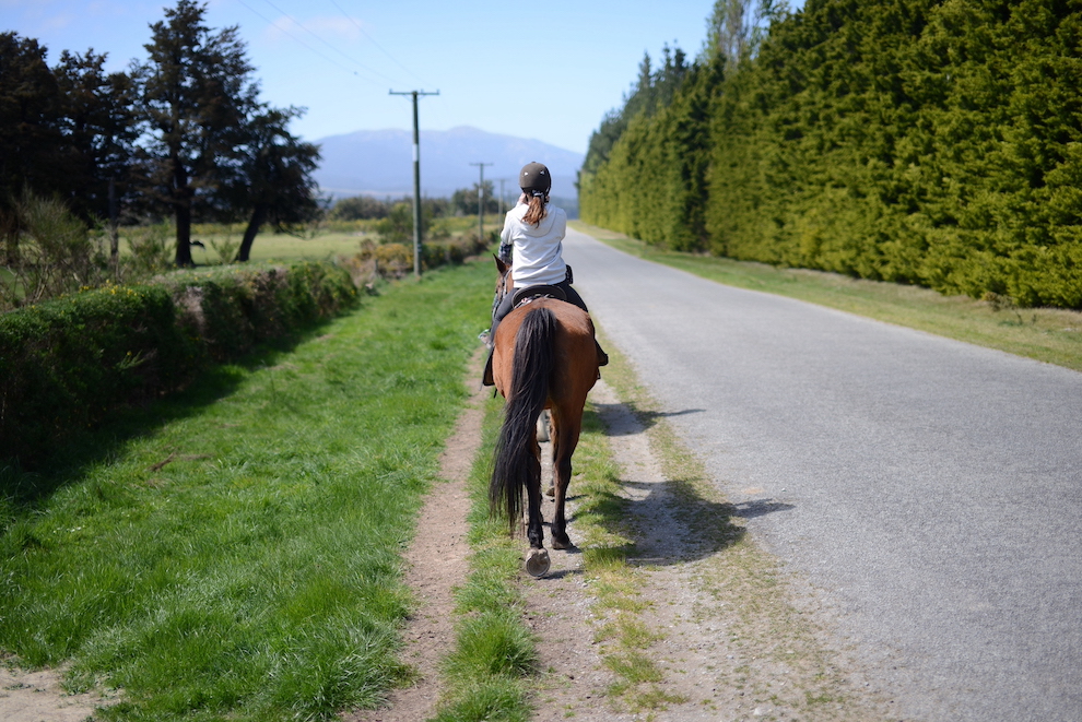 ニュージーランドの乗馬体験