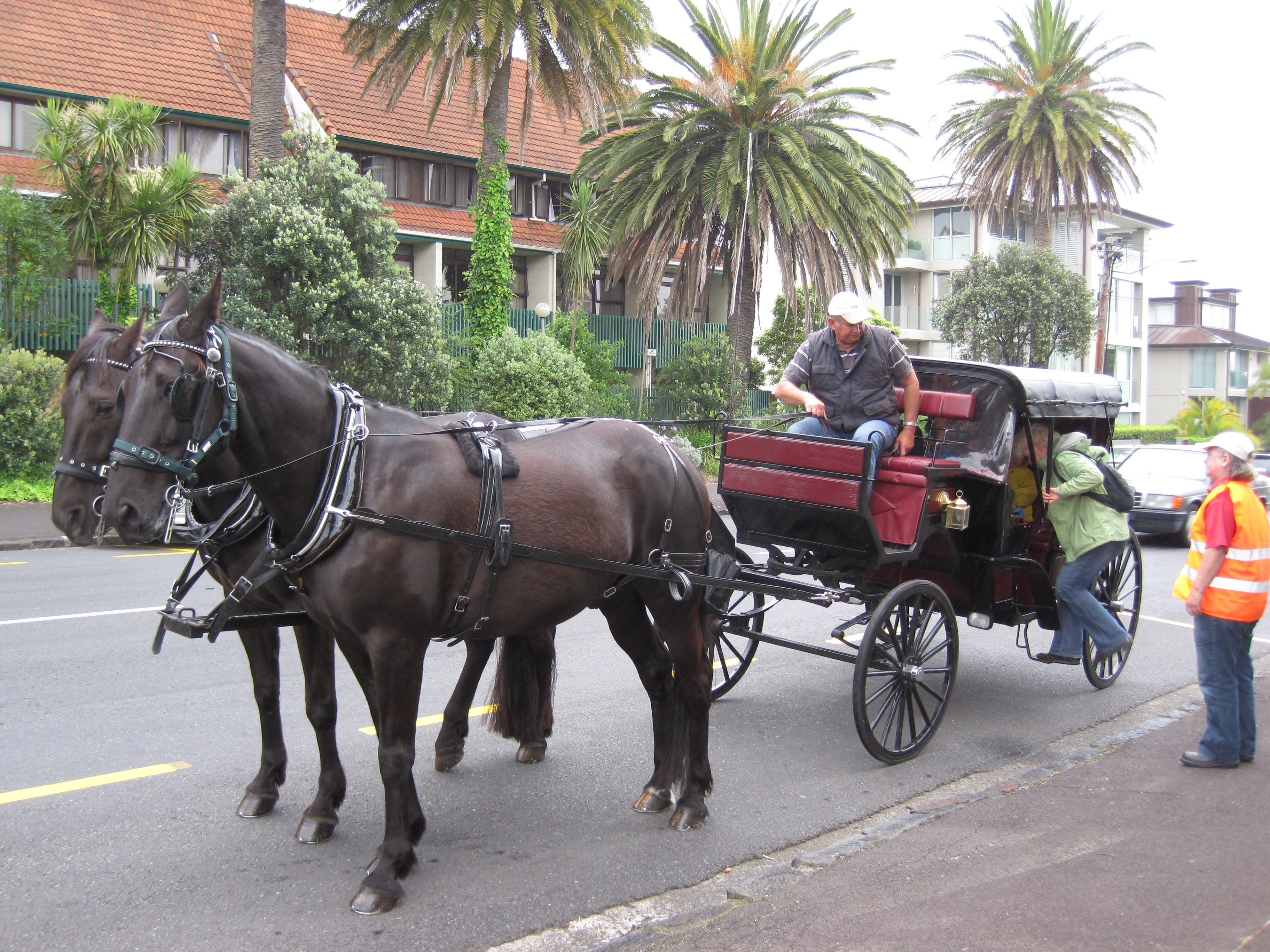 パーネル通りの馬車