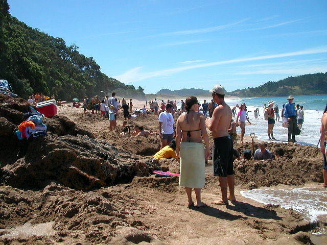 ホットウォータービーチで砂場に穴を掘る人たち