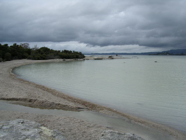 ロトルア湖の辺り