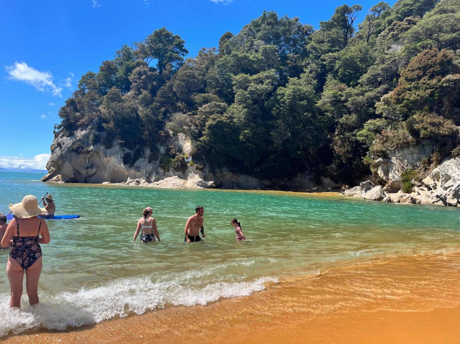 夏のネルソンのビーチでの海水浴