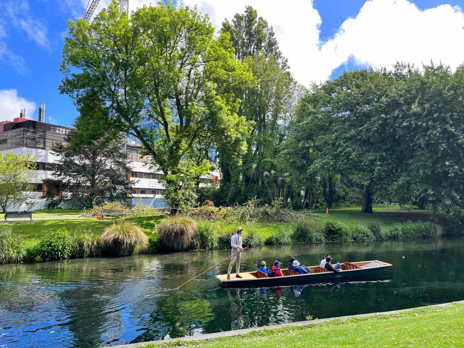 ライトアップが素敵なクリスマスツリー