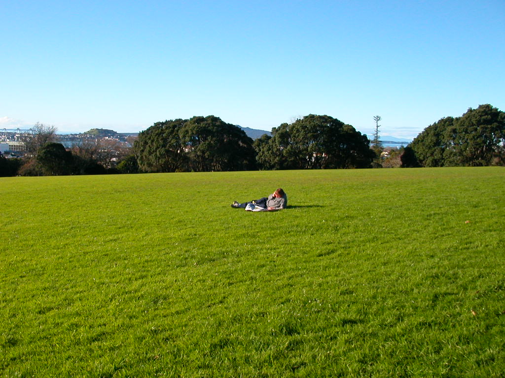 大きな公園