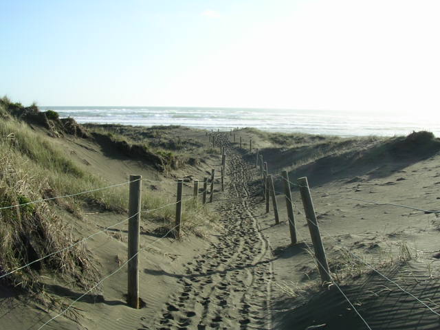 ビーチへと続く砂の道
