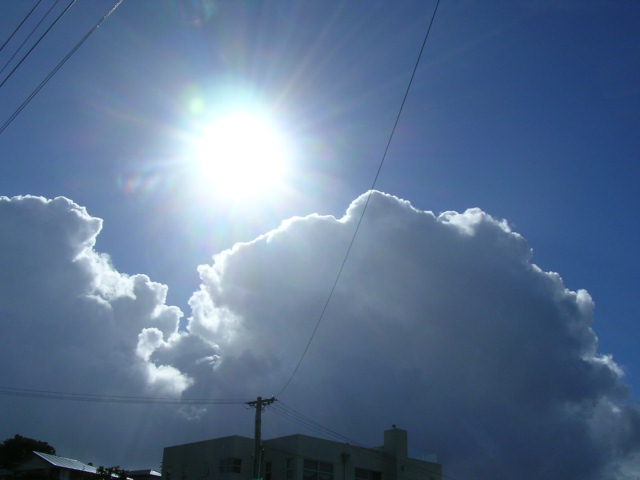 冬の空に輝く太陽