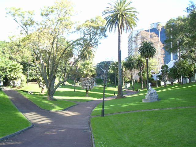 公園の中の遊歩道