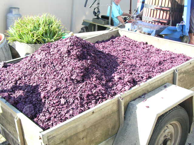 ワインの原料となるブドウを満載したカート